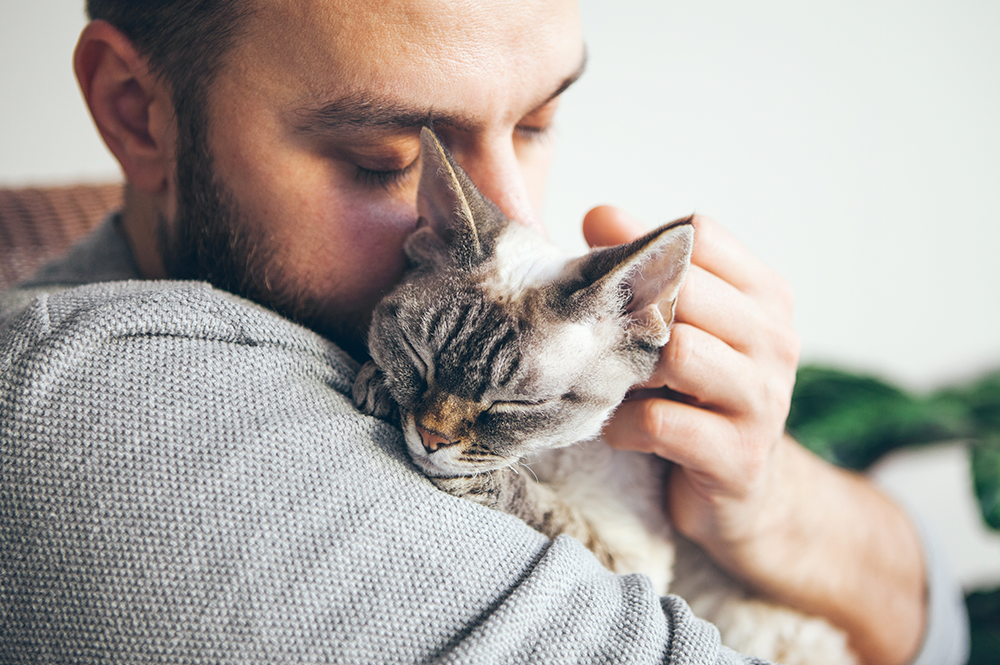 Tratar o pet como filho: descubra até que ponto essa relação é saudável