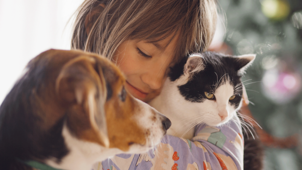 Cães exigem mais interação física, enquanto gatos são ideais para quem busca mais autonomia.