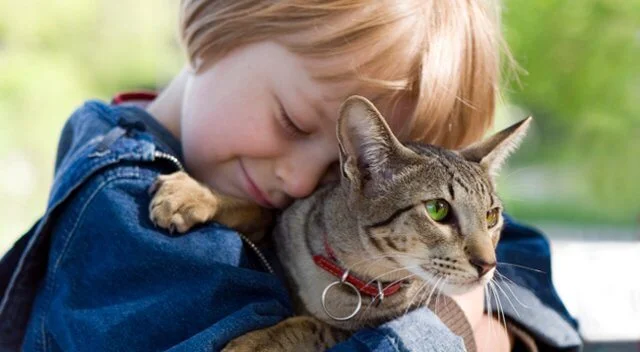 Estudos mostram que a presença de pets influencia positivamente o desenvolvimento emocional
