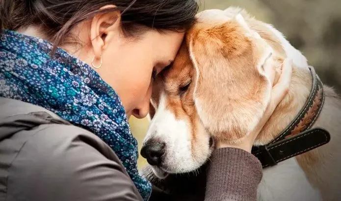 A sensibilidade de animais